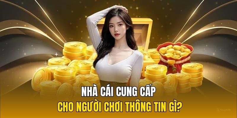 Nhà cái cung cấp cho người chơi thông tin gì?