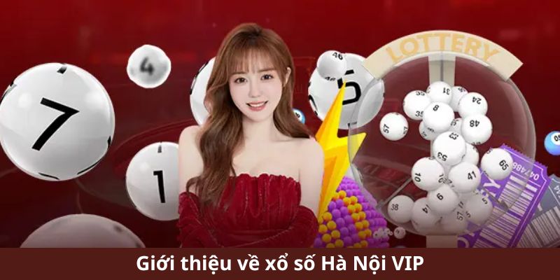 Tổng quan xổ số Hà Nội VIP